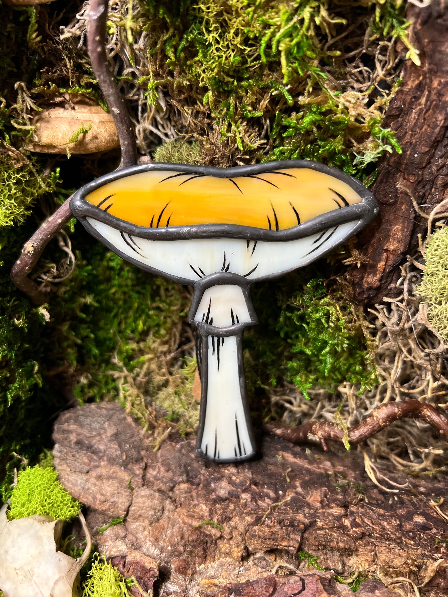 Mushroom Hanger & Planter