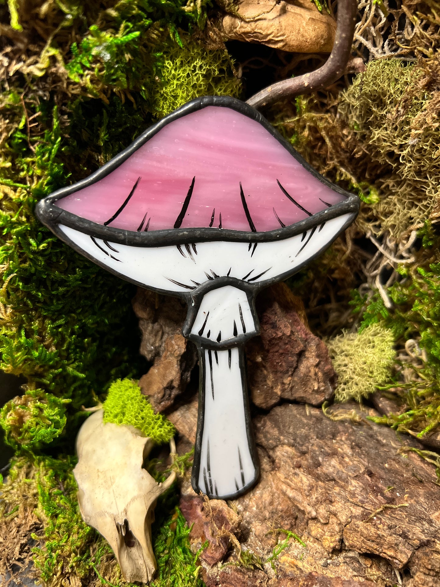 Mushroom Hanger & Planter