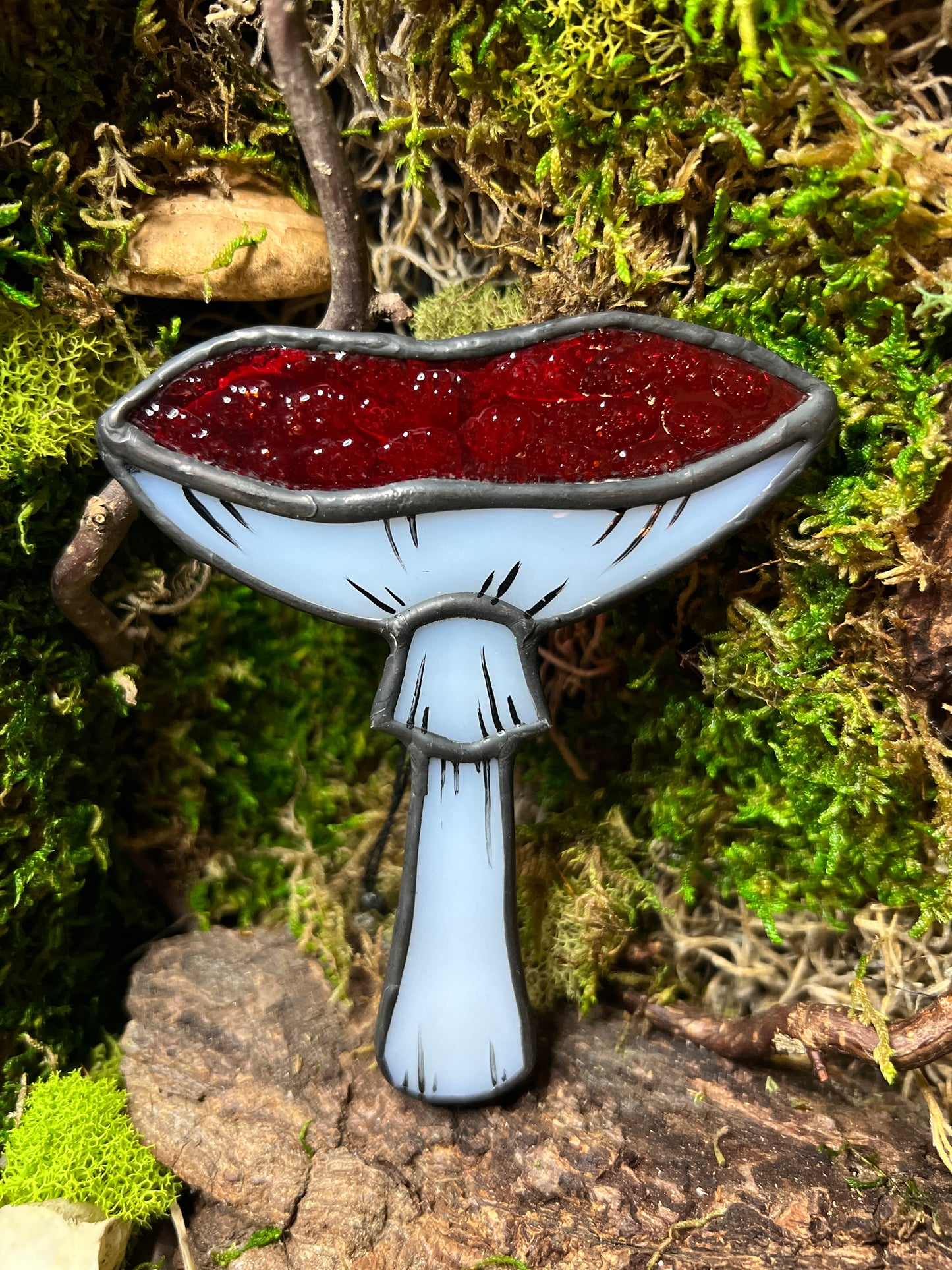 Mushroom Hanger & Planter