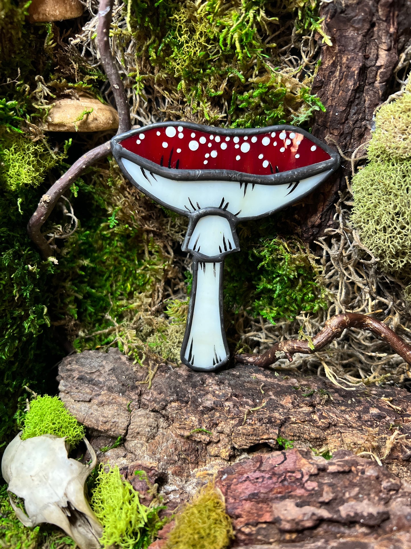 Mushroom Hanger & Planter