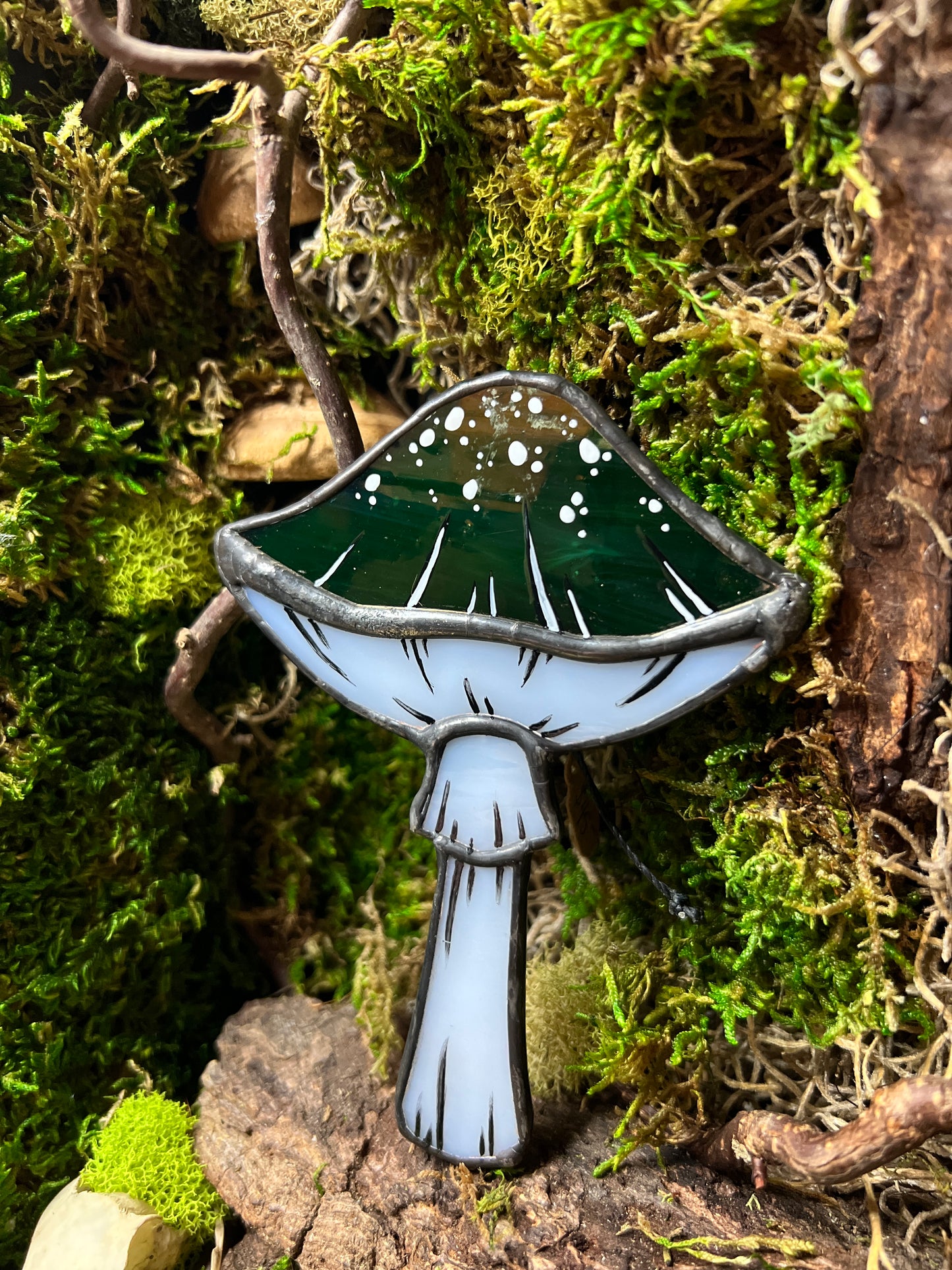 Mushroom Hanger & Planter