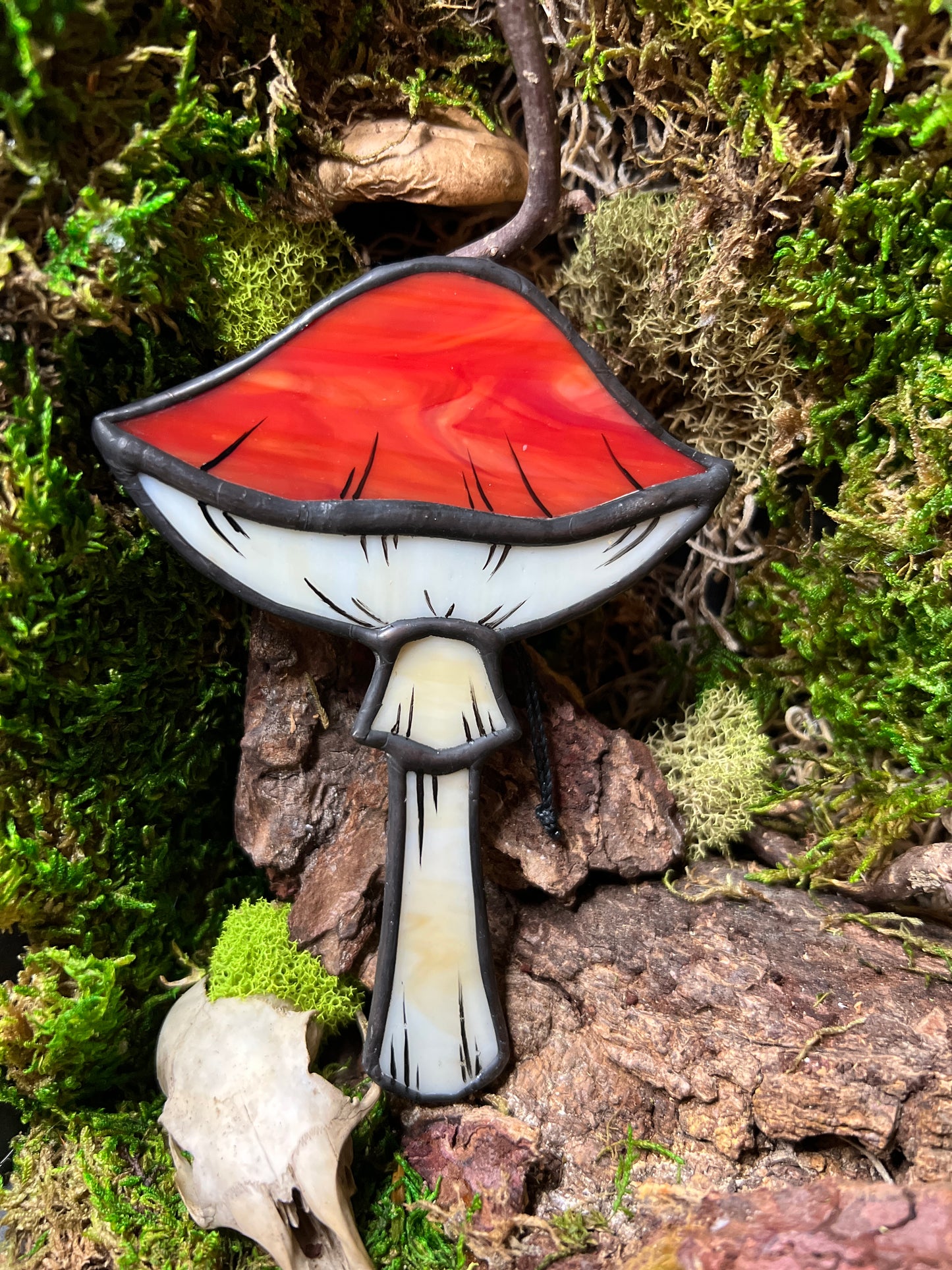 Mushroom Hanger & Planter