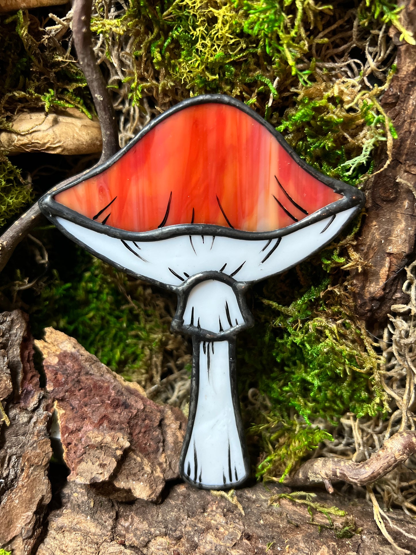 Mushroom Hanger & Planter